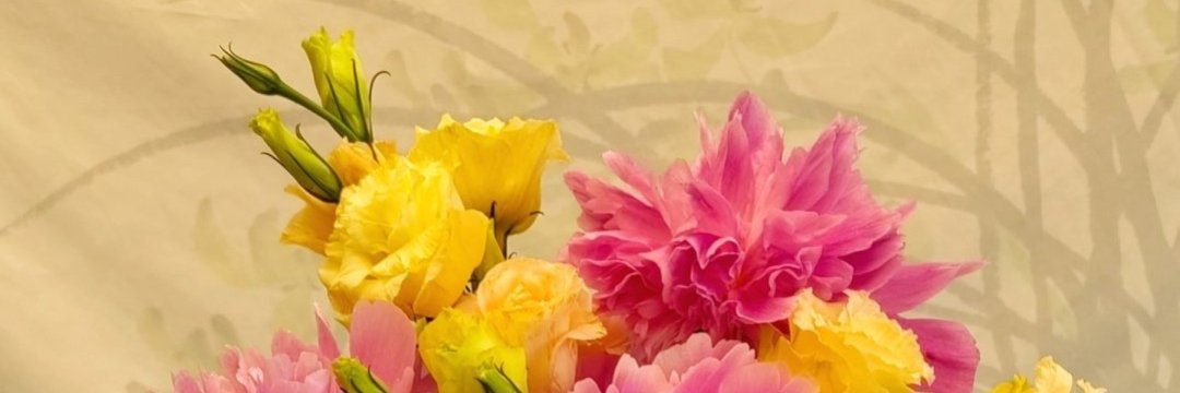 段子手爱德滑（互关fo）'s banner