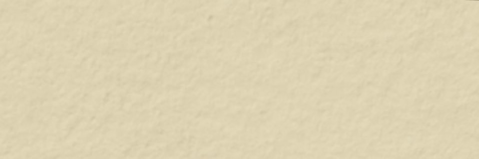jxstpegs | 𝔽rAI's banner