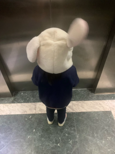屁屁兔🐰's banner