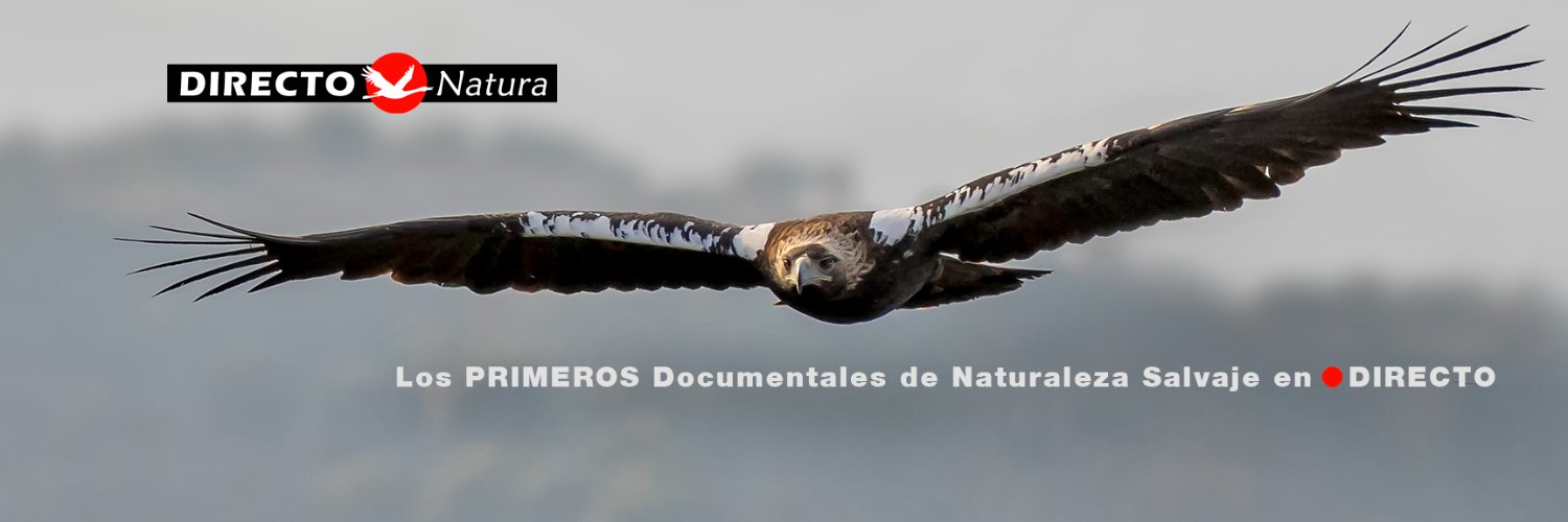 Directo Natura's banner