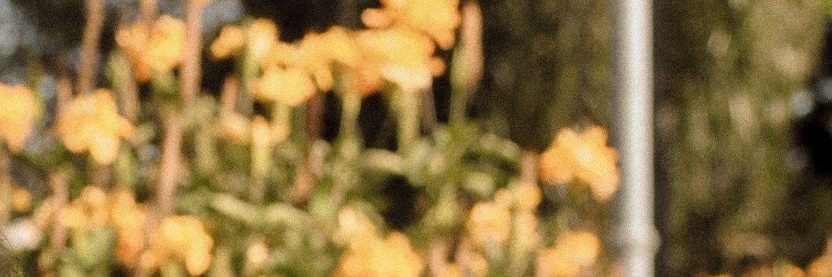 Babs's banner