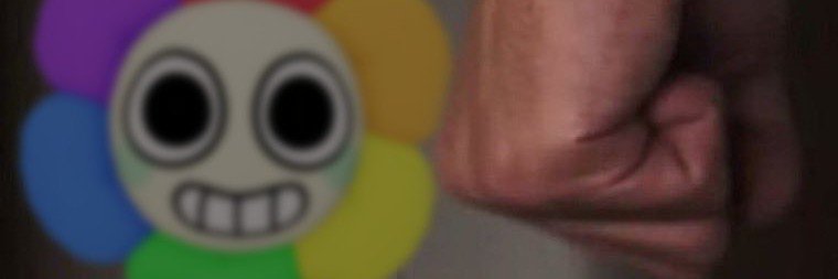 gori's banner
