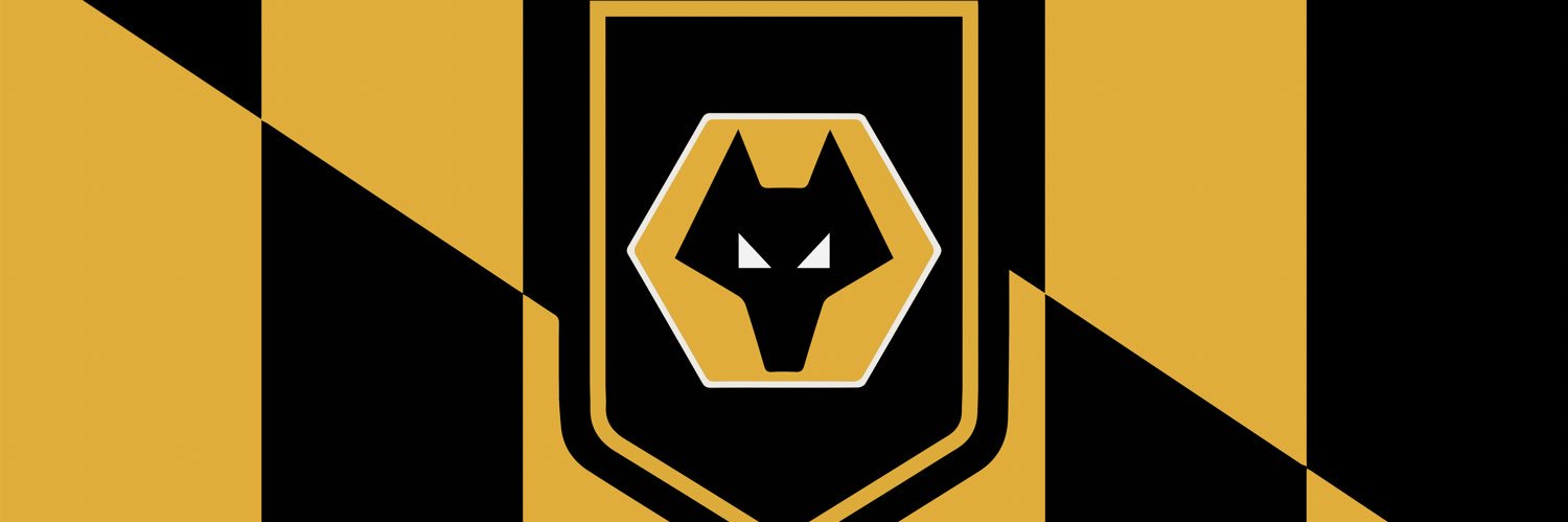 Baltimore Wolves's banner