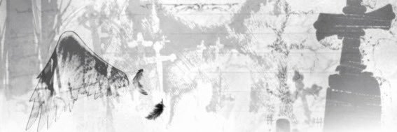 ꩇׁׅ݊ᨵׁׅƙׁׅ֑ɑׁ ₍^. .^₎⟆'s banner