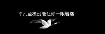 河南绿帽淫妻(BBW)'s banner