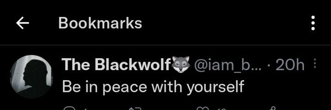 BLACKWOLF OF LAGOS 🐺's banner
