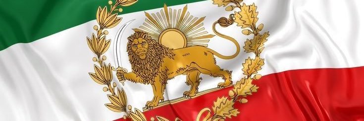 Shahin Najafi 𓃬☼'s banner