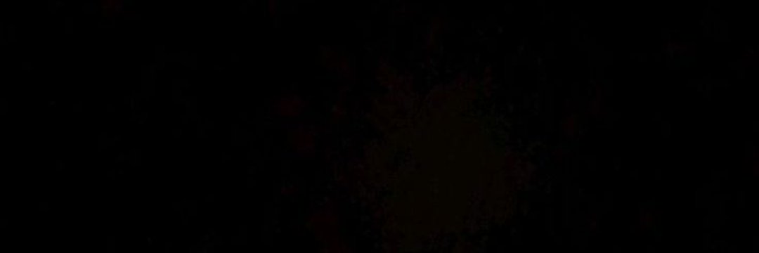 barb's banner