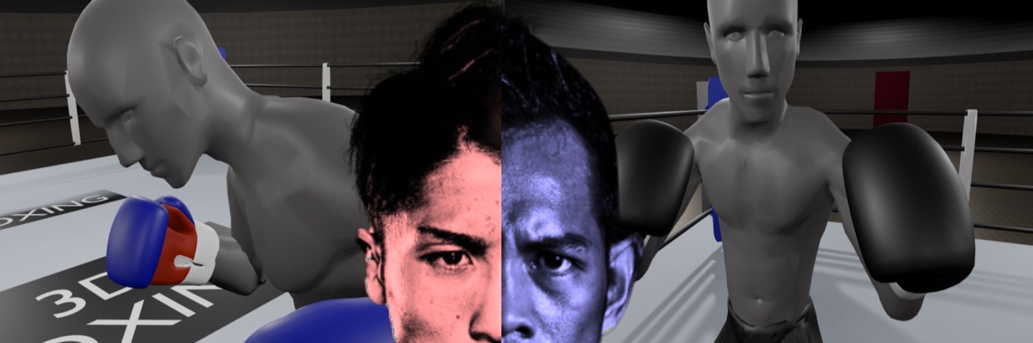 3D BOXING's banner