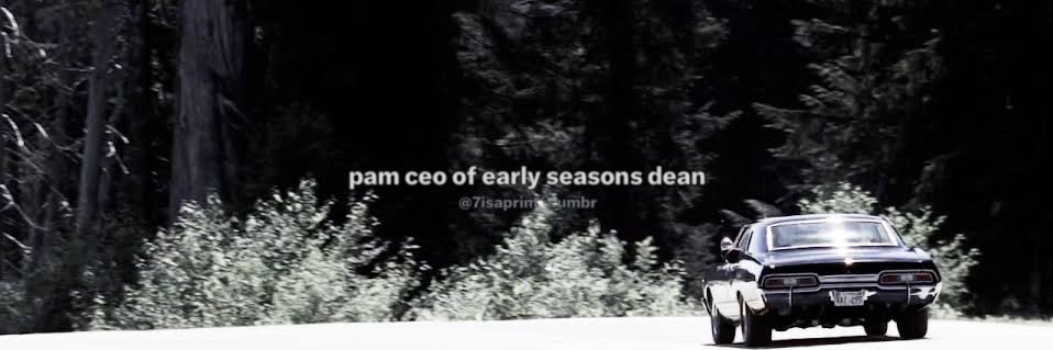 pam 🦔 DEAN DAY's banner