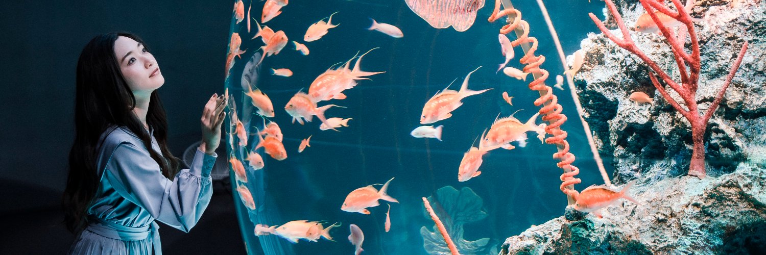 AQUARIUM ✕ ART átoa（アトア）【公式】's banner