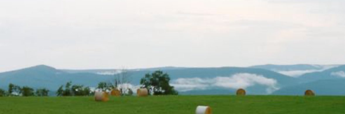 EDITH MCALPINE SHADY FACTS's banner