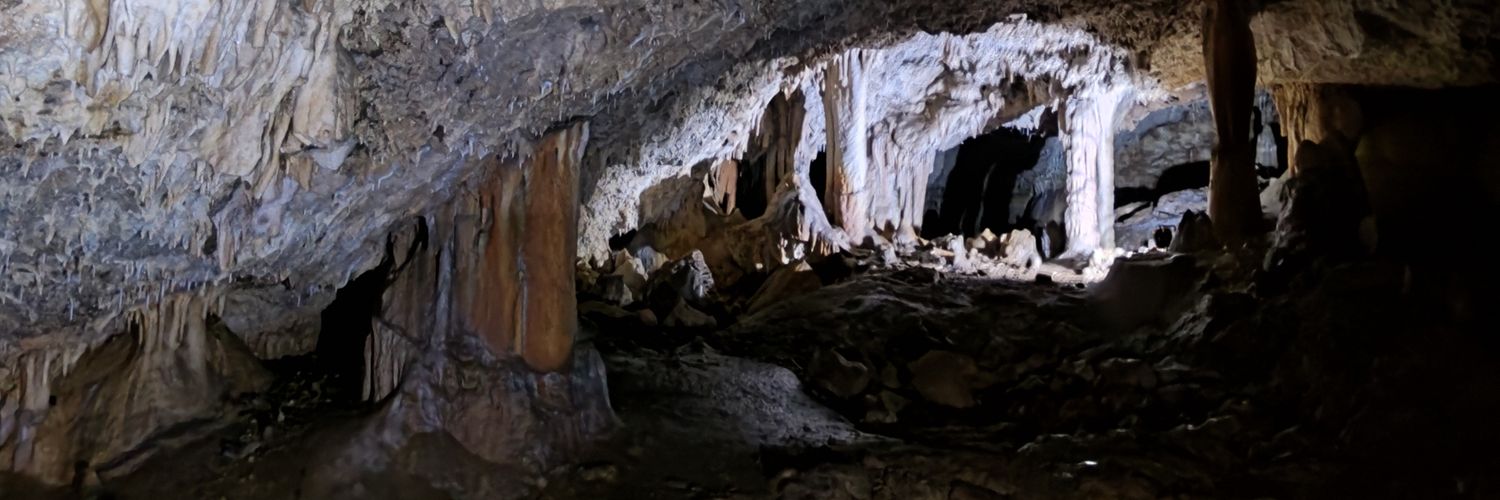 伊左治佳孝｜水中探検家's banner