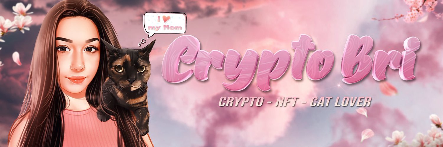 Crypto Bri's banner
