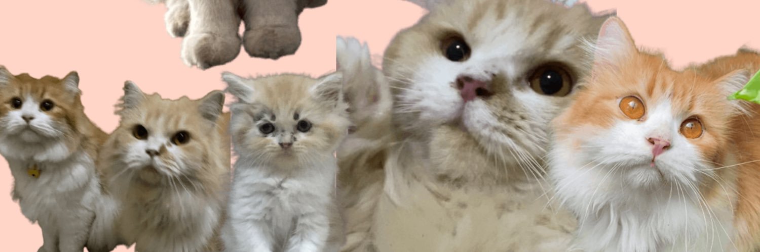 Moko Nue Gigi's banner
