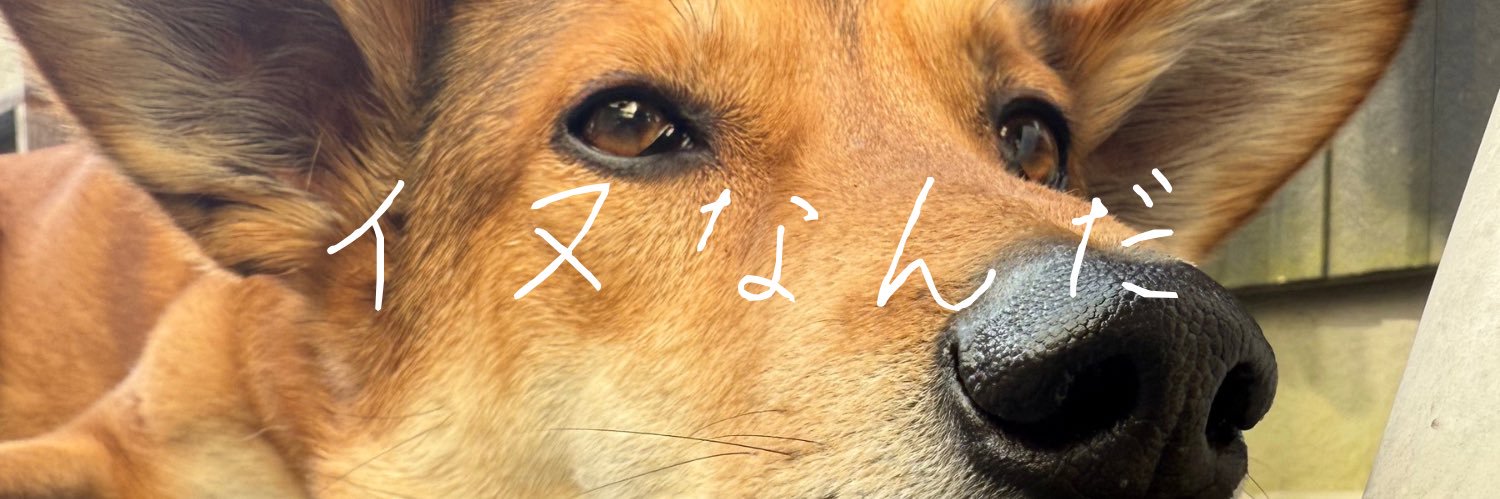 コリシ🐕と🦍's banner