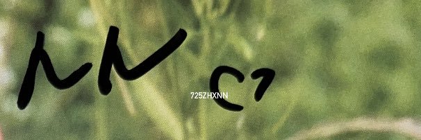 NN🤍's banner