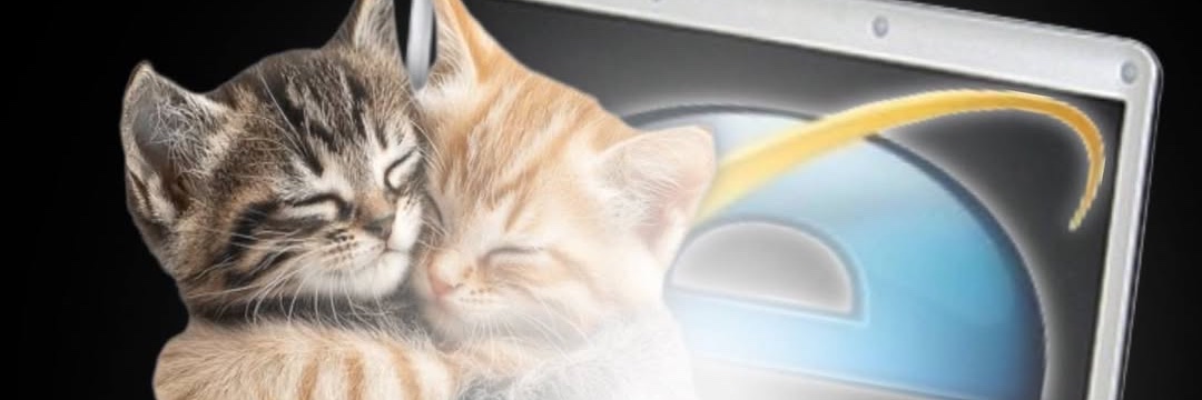 seam licker maia 🧶🐈‍⬛'s banner