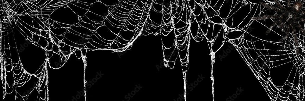 𝖁𝖆𝖒𝖕𝖞𝖗𝖎𝖆 𓋹's banner