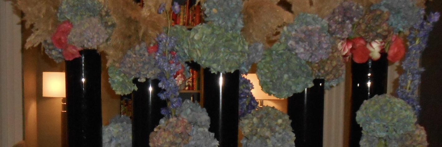 joey ౨ৎ's banner