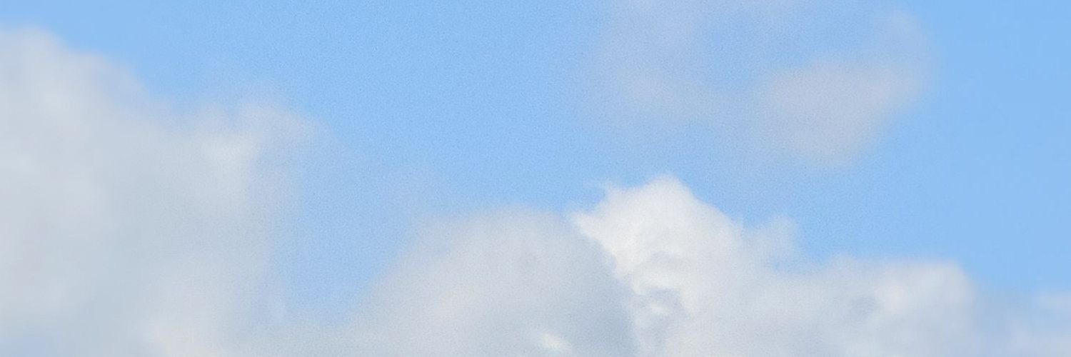 구미붕어☁'s banner