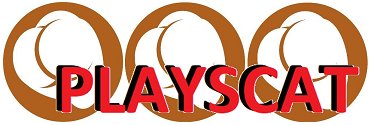 playscat's banner