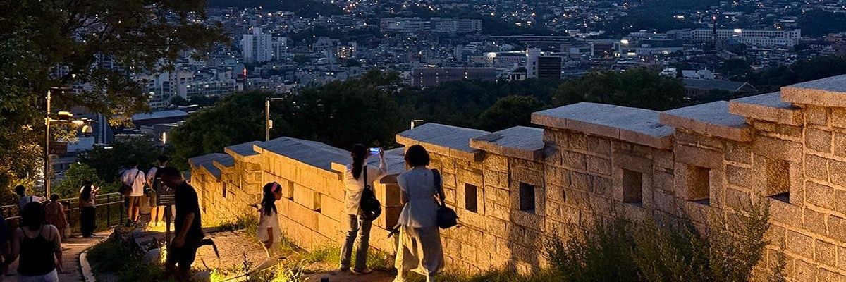 🎗돌아온 김야매(金野梅)'s banner