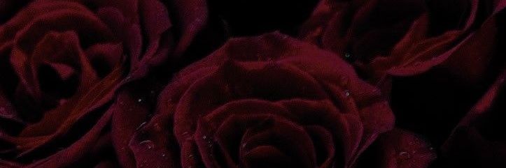 adri 🖤🫧's banner