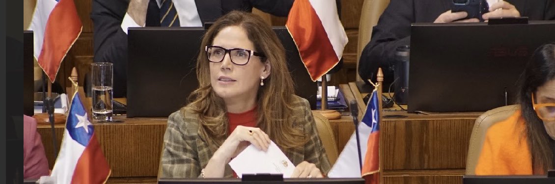 Macarena Santelices diputada 🇨🇱's banner