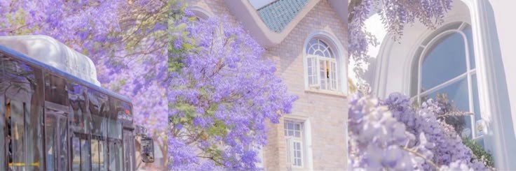 Javs ౨ৎ 🧚🏻‍♀️ john logan's wife's banner