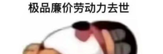 二号奎 🔞's banner