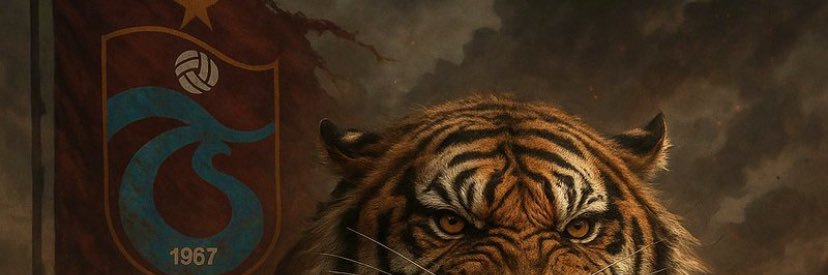 merto's banner