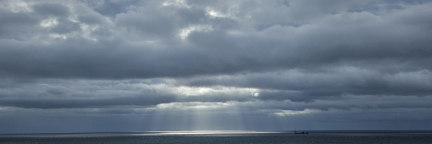 montydesaiofficial's banner
