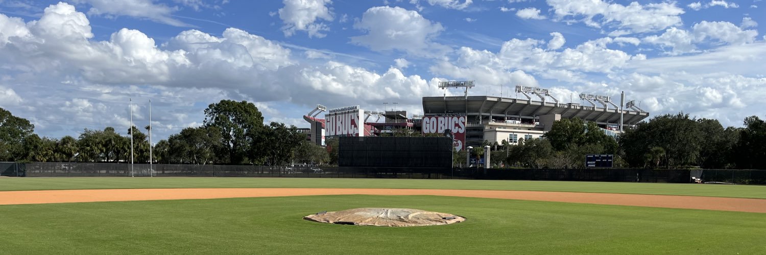 Hillsborough College Hawks Baseball's banner