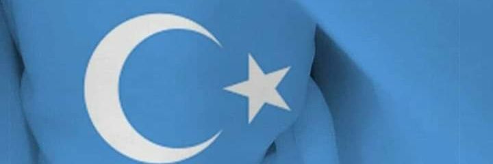Mavikelebek's banner