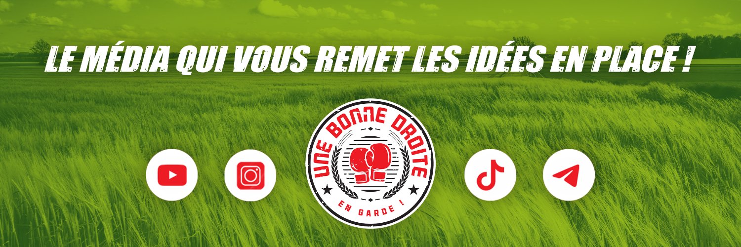 Une Bonne Droite 👊🏻's banner