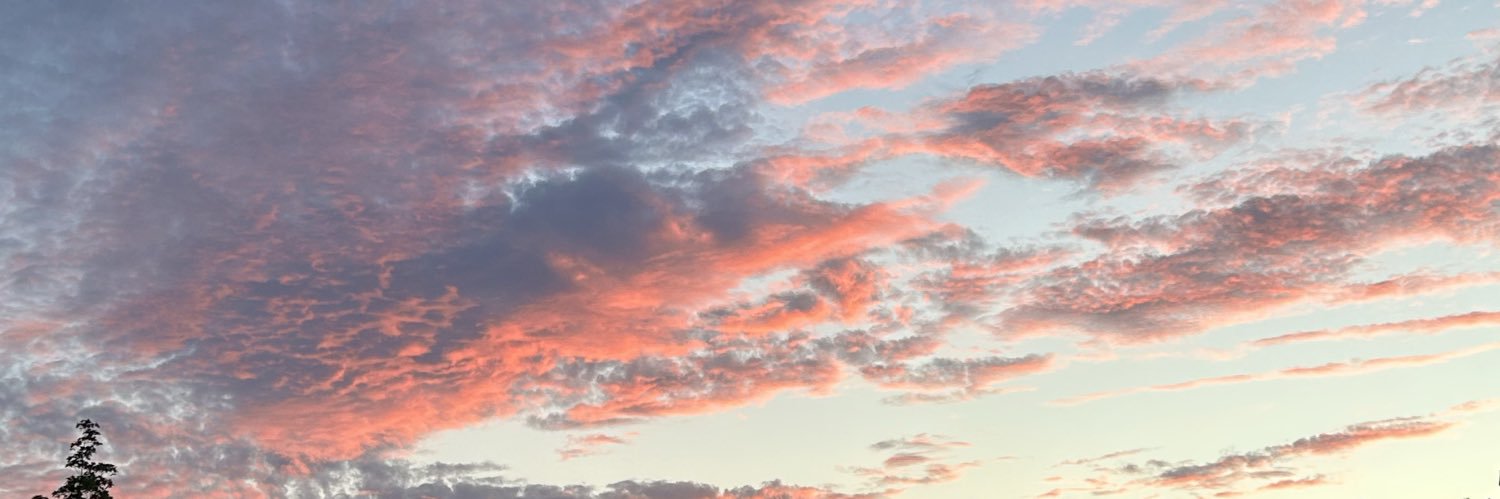 oshy's banner