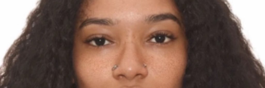 peitos fartos da beyonce's banner