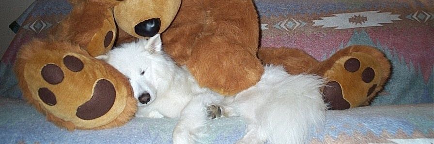 benadryl's banner