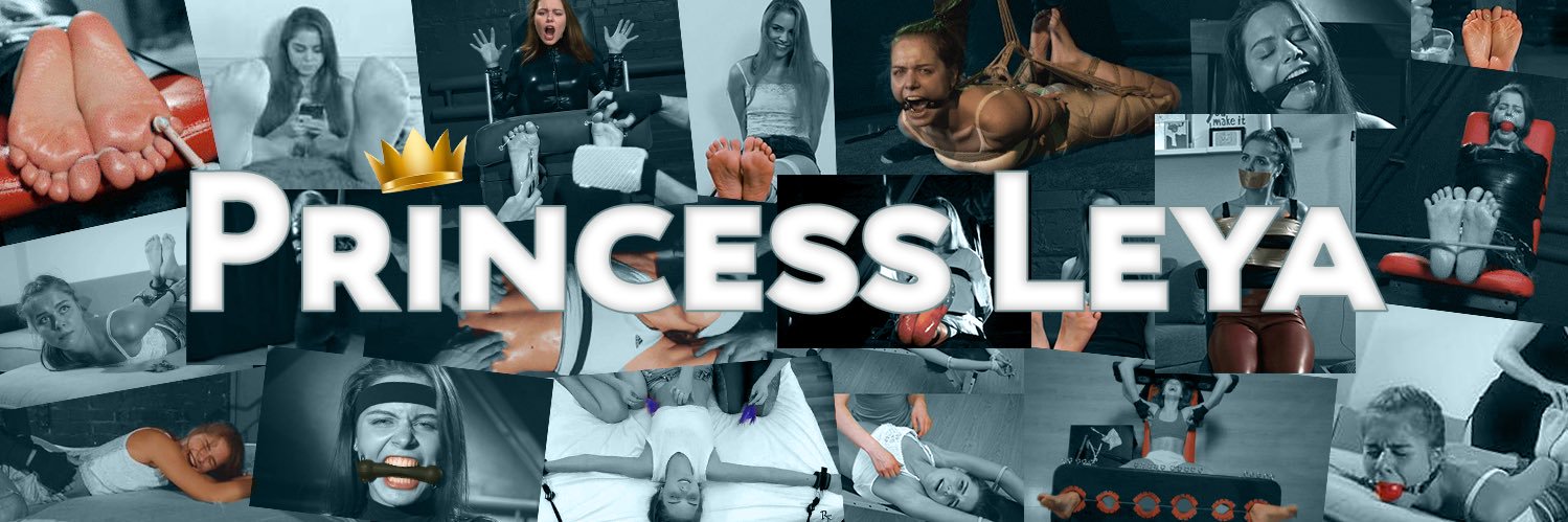 Princess Leya's banner