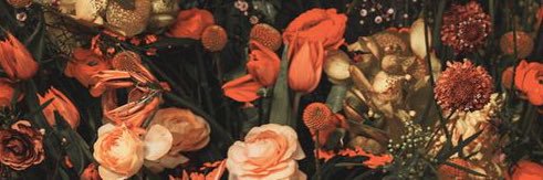 ☆'s banner