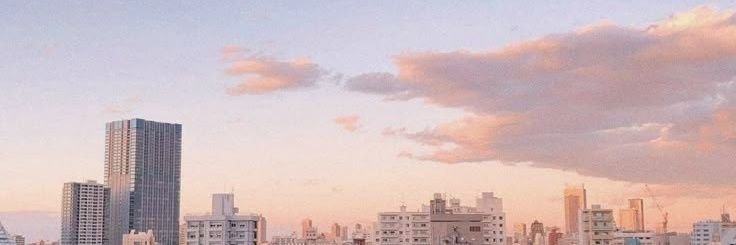 🌙's banner