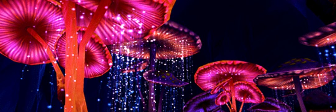 Jori's banner