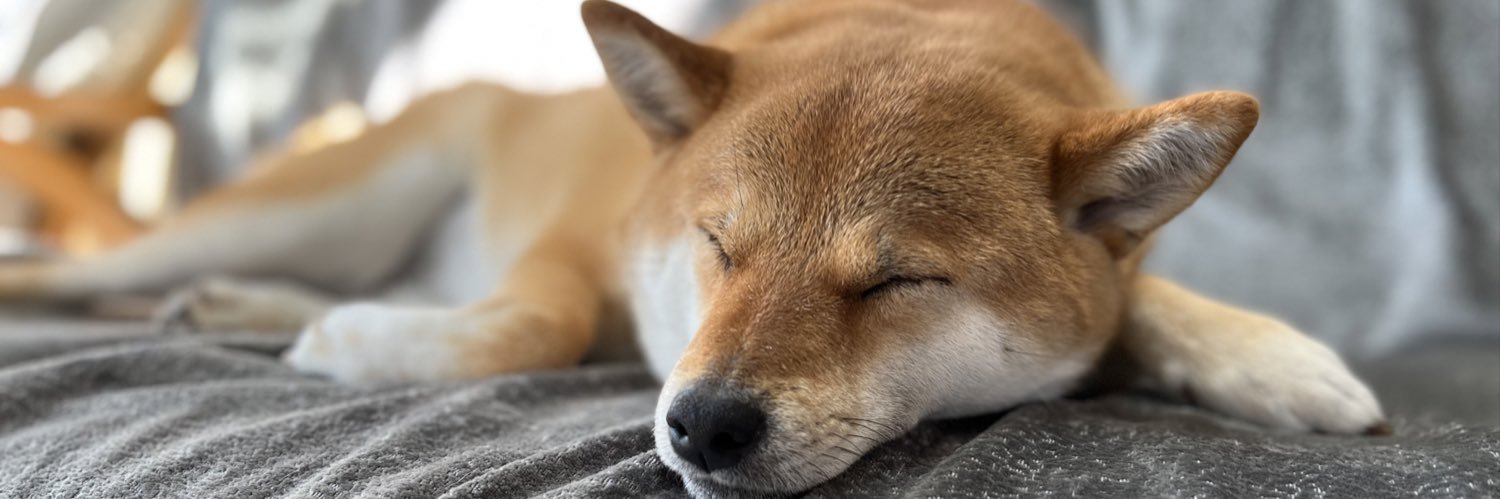 『あさむらさん🐕』's banner
