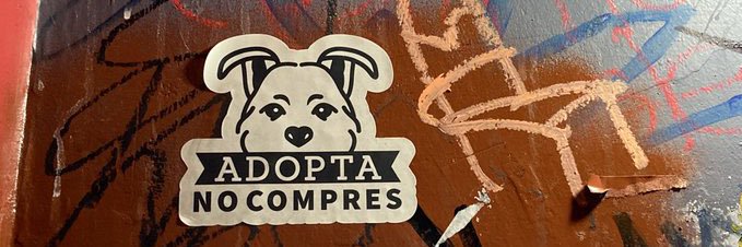 animalitos que alegran el día's banner