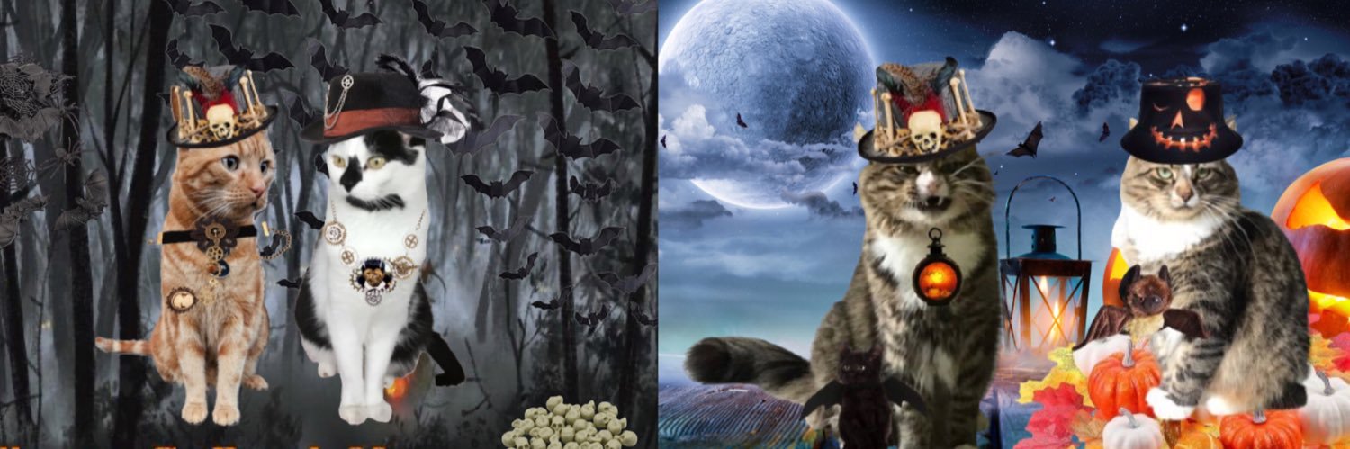 Mia 🕊️peace and love 🕊️Mittens, Oscar & Prince's banner
