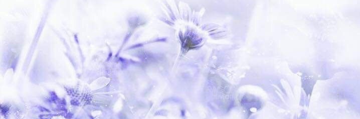 ˚₊‧꒰ა lia ໒꒱ ‧₊˚'s banner