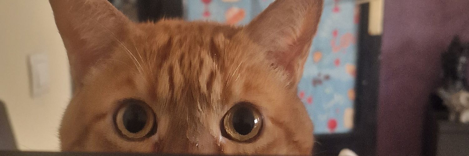 ⭒𝕮𝖍𝖎𝖈𝖆 𝕴𝖓𝖉𝖎𝖌𝖔⭒'s banner