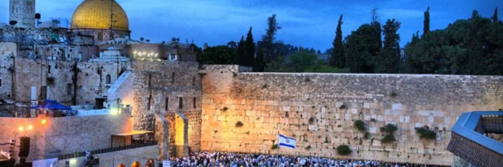 !גוליית? דווידוב's banner