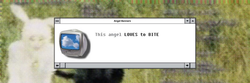 Aliza's banner